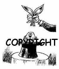 Rabbit from the Magic Hat Rubber Stamp